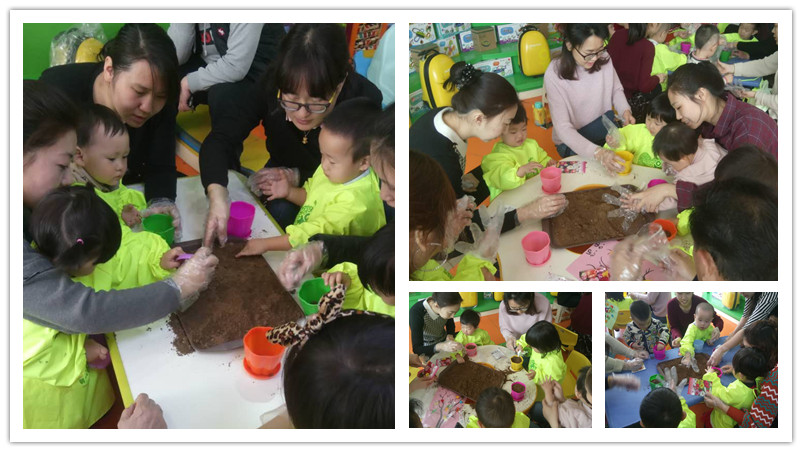 BBunion国际早教邢台中心活动花絮：我与种子齐成长