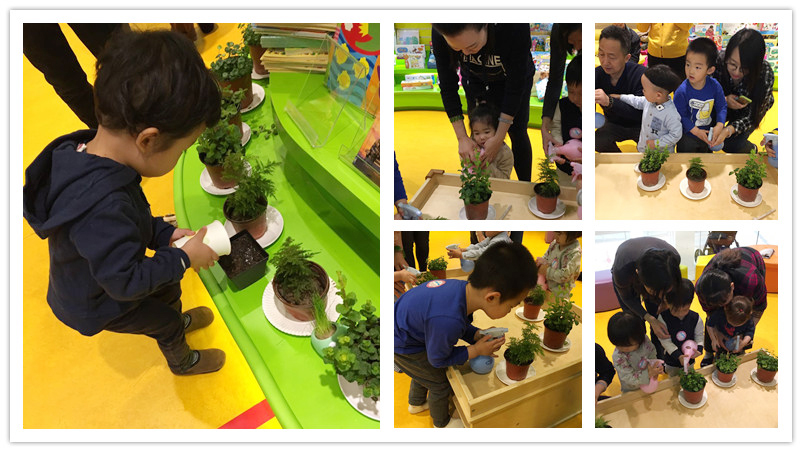 BBunion国际早教北京三里屯中心：植树节，用爱播种